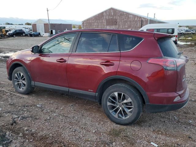 Photo 1 VIN: JTMRJREV7JD230920 - TOYOTA RAV4 