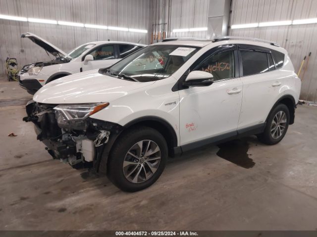 Photo 1 VIN: JTMRJREVXGD029151 - TOYOTA RAV4 