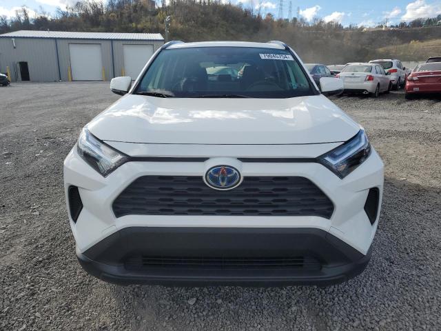 Photo 4 VIN: JTMRWRFV0ND151157 - TOYOTA RAV4 XLE 