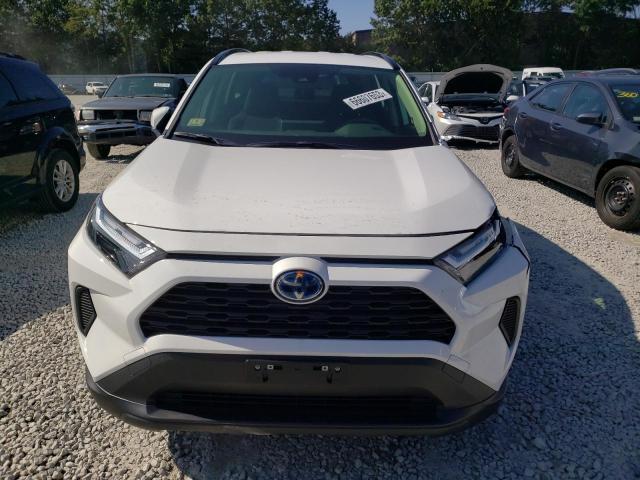 Photo 4 VIN: JTMRWRFV1PD171565 - TOYOTA RAV4 