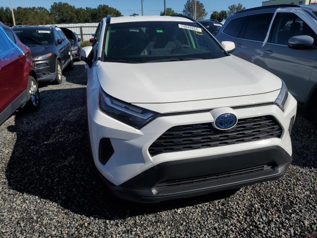 Photo 4 VIN: JTMRWRFV1PD201664 - TOYOTA RAV4 XLE 