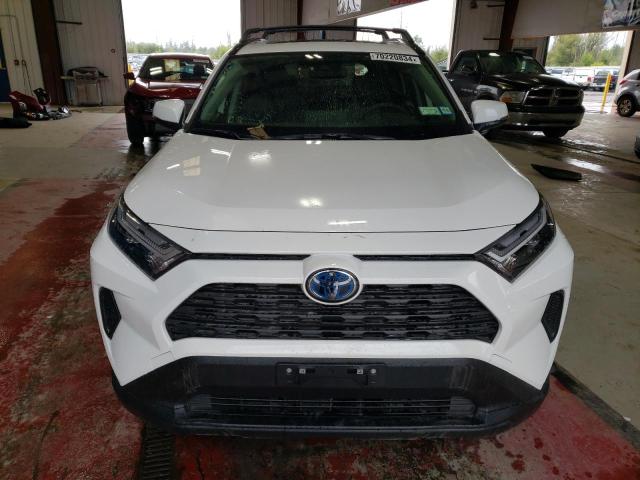 Photo 4 VIN: JTMRWRFV4RD240705 - TOYOTA RAV4 XLE 