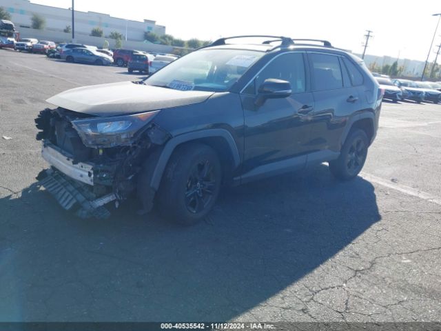 Photo 1 VIN: JTMW1RFV2KD503183 - TOYOTA RAV4 