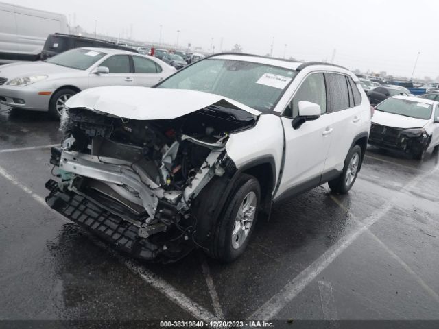 Photo 1 VIN: JTMW1RFV6KD026919 - TOYOTA RAV4 