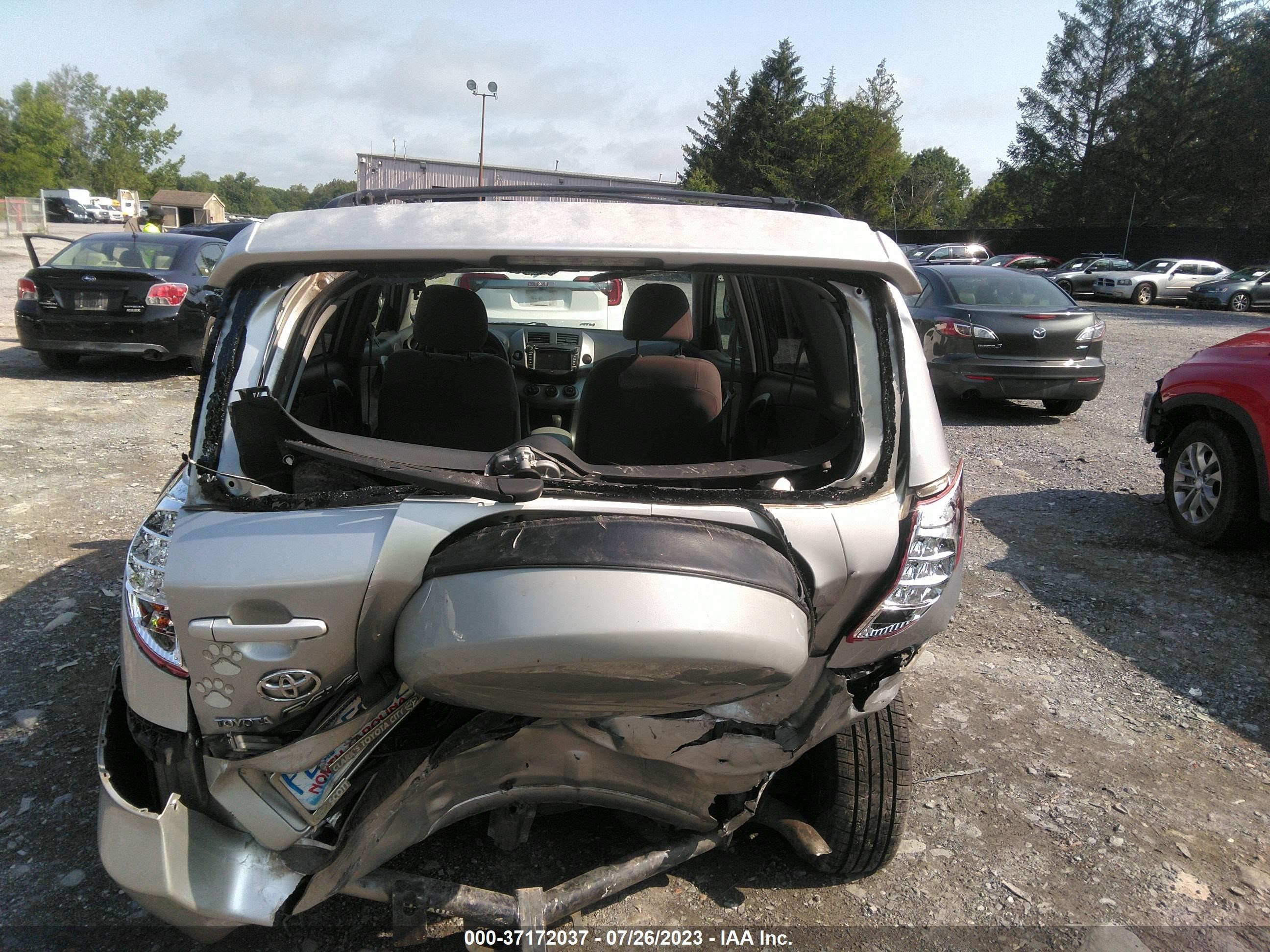 Photo 5 VIN: JTMZD33VX65031613 - TOYOTA RAV 4 