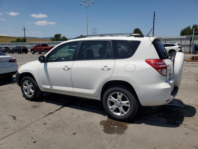 Photo 1 VIN: JTMZF4DV2B5037303 - TOYOTA RAV4 