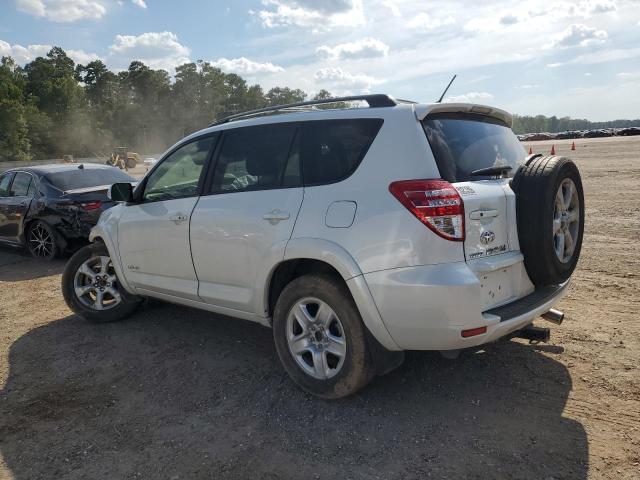 Photo 1 VIN: JTMZK31V095025607 - TOYOTA RAV4 LIMIT 