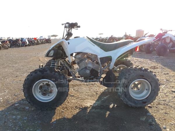 Photo 21 VIN: JY4AG04Y3DC024084 - YAMAHA RAPTER 