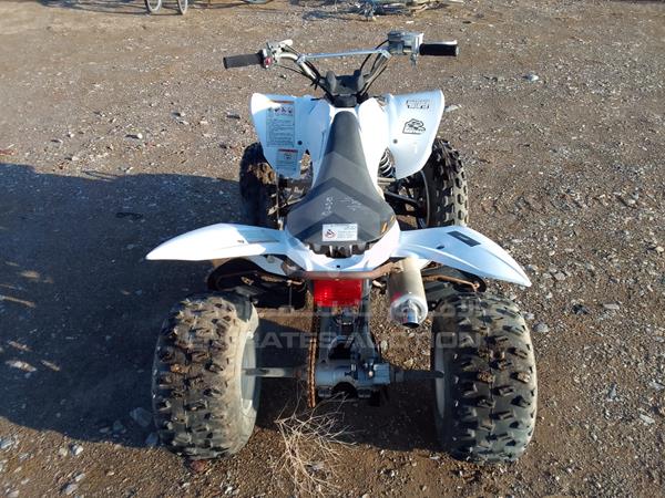 Photo 23 VIN: JY4AG04Y3DC024084 - YAMAHA RAPTER 