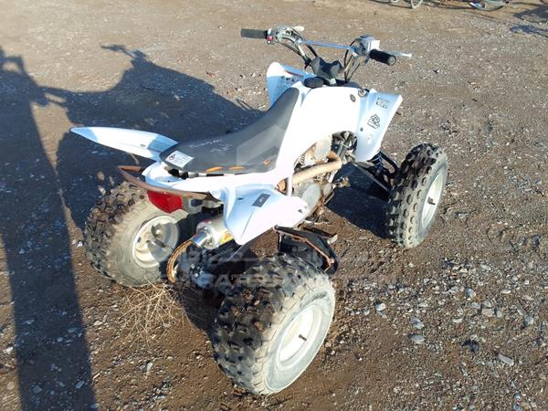 Photo 4 VIN: JY4AG04Y3DC024084 - YAMAHA RAPTER 