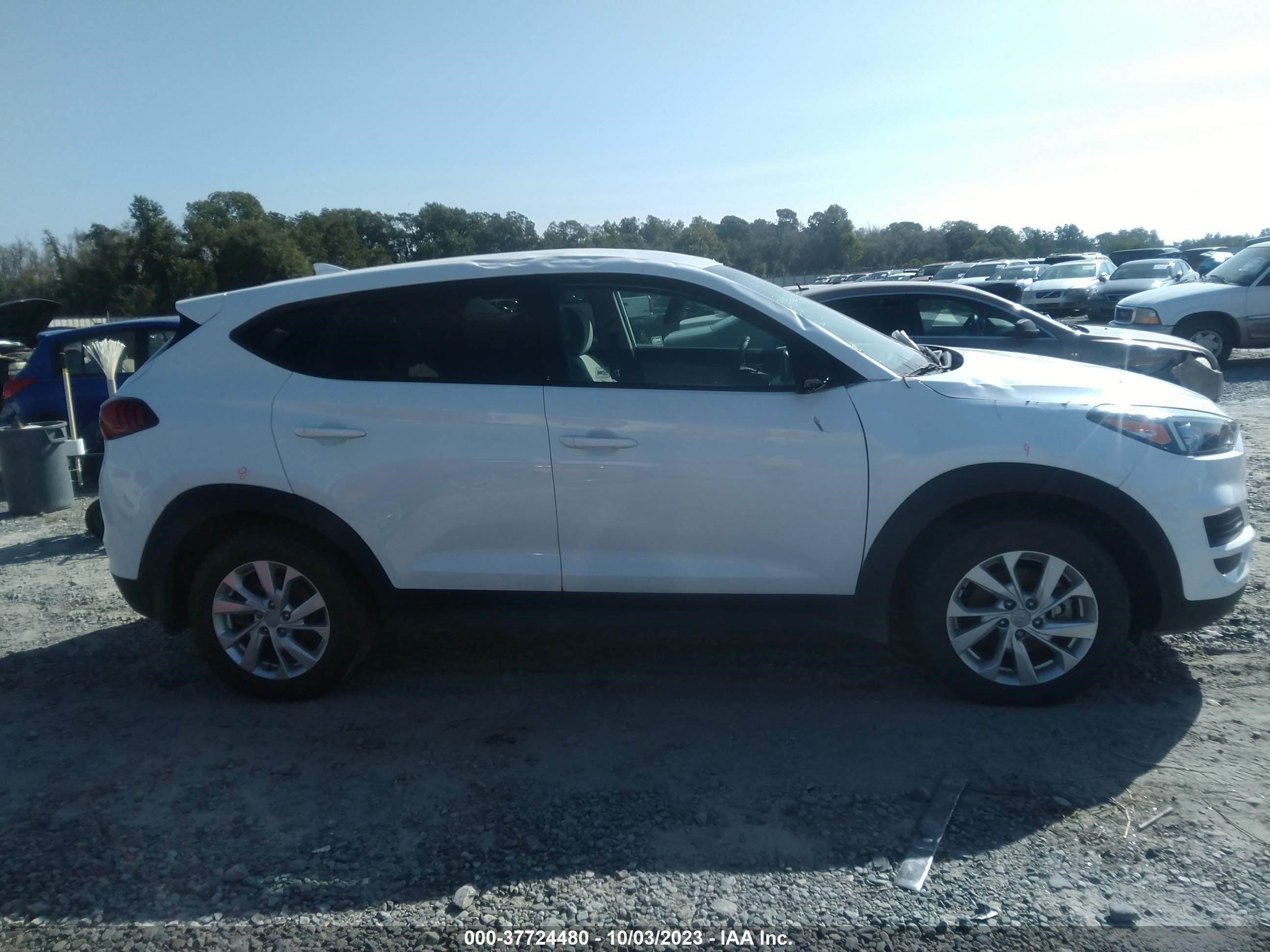 Photo 12 VIN: KM8J23A48MU309775 - HYUNDAI TUCSON 