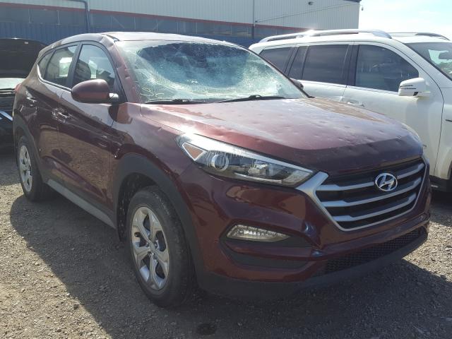 Photo 0 VIN: KM8J2CA40HU430368 - HYUNDAI TUCSON 