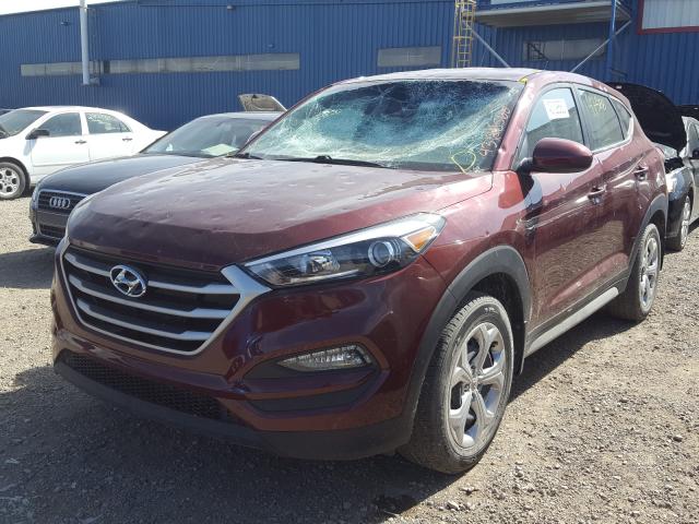 Photo 1 VIN: KM8J2CA40HU430368 - HYUNDAI TUCSON 