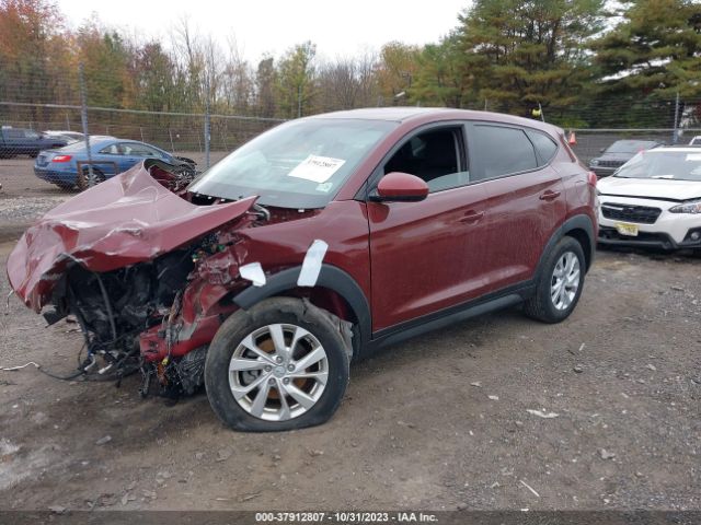 Photo 1 VIN: KM8J2CA43KU982115 - HYUNDAI TUCSON 