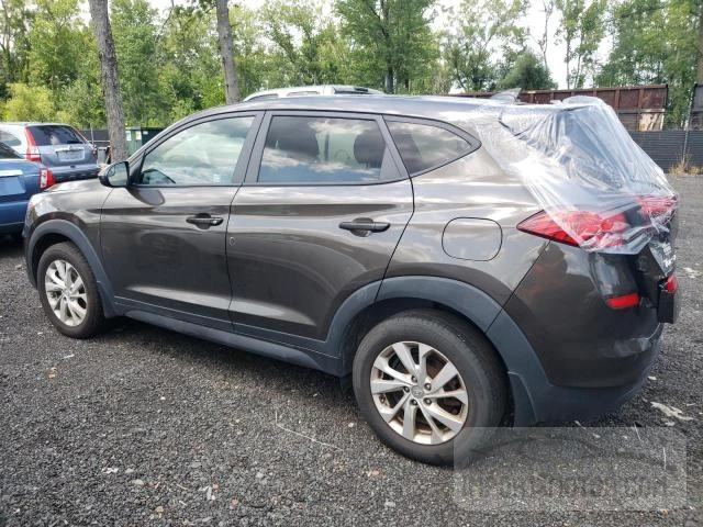 Photo 1 VIN: KM8J2CA46KU964014 - HYUNDAI TUCSON 