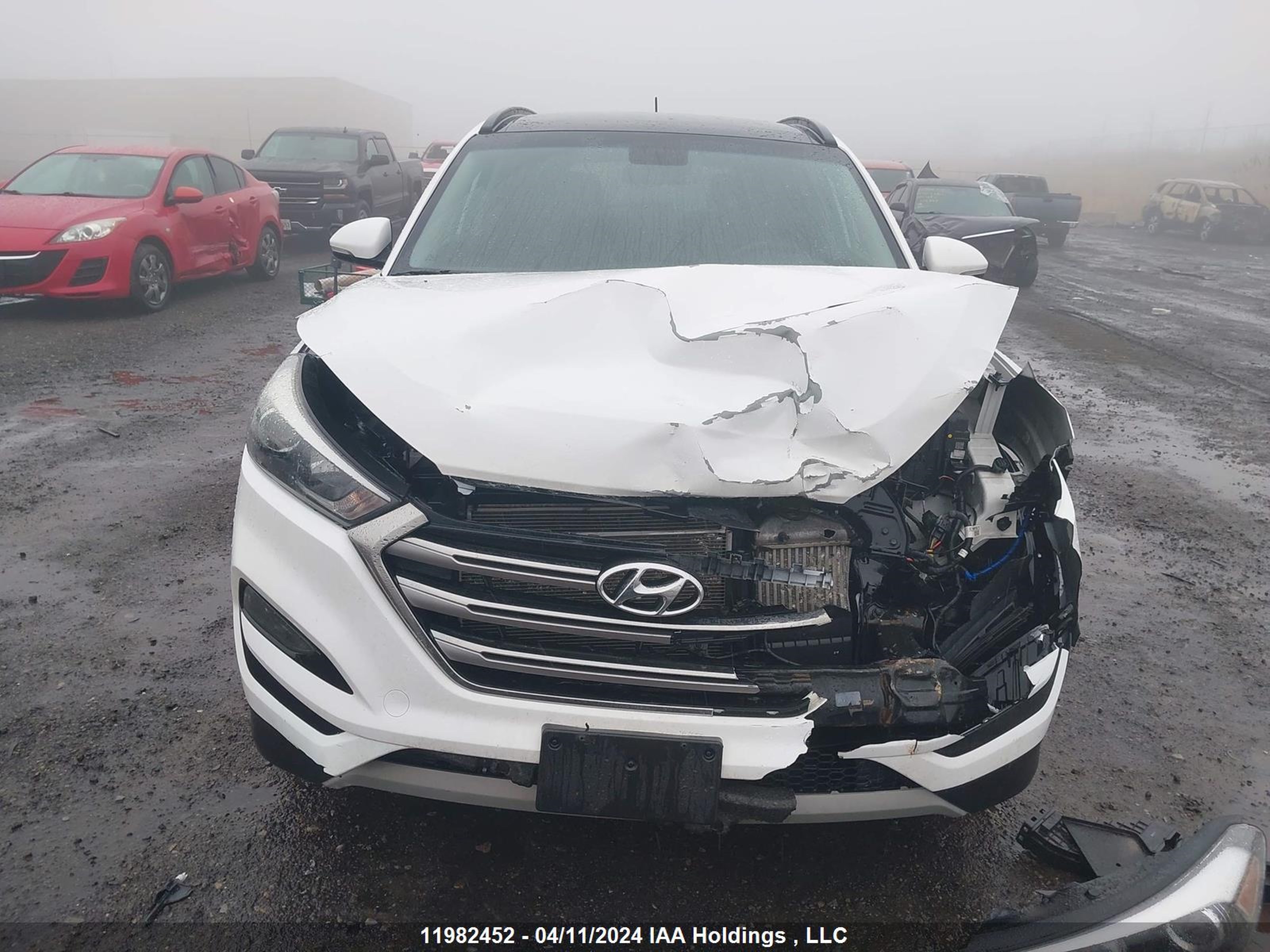 Photo 12 VIN: KM8J3CA23HU333001 - HYUNDAI TUCSON 