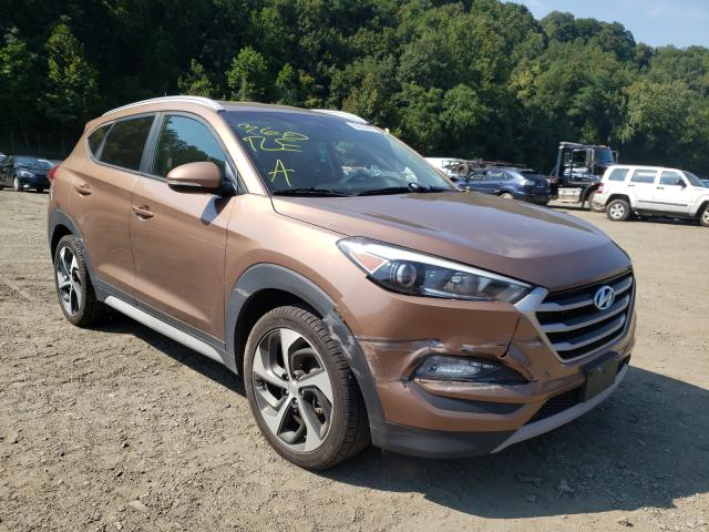 Photo 0 VIN: KM8J3CA23HU404116 - HYUNDAI TUCSON LIM 