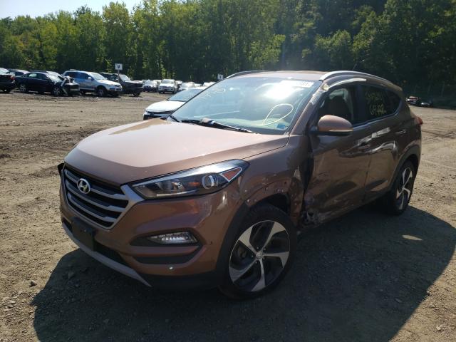 Photo 1 VIN: KM8J3CA23HU404116 - HYUNDAI TUCSON LIM 