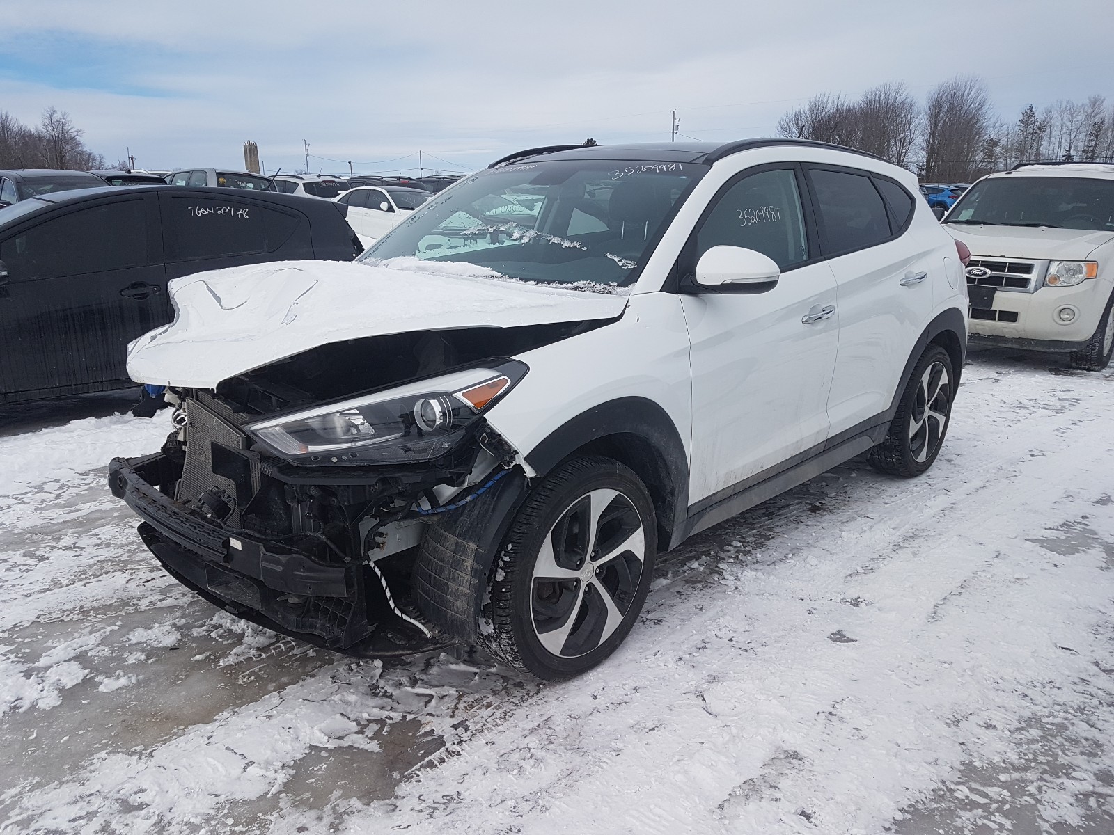 Photo 1 VIN: KM8J3CA23HU524482 - HYUNDAI TUCSON LIM 