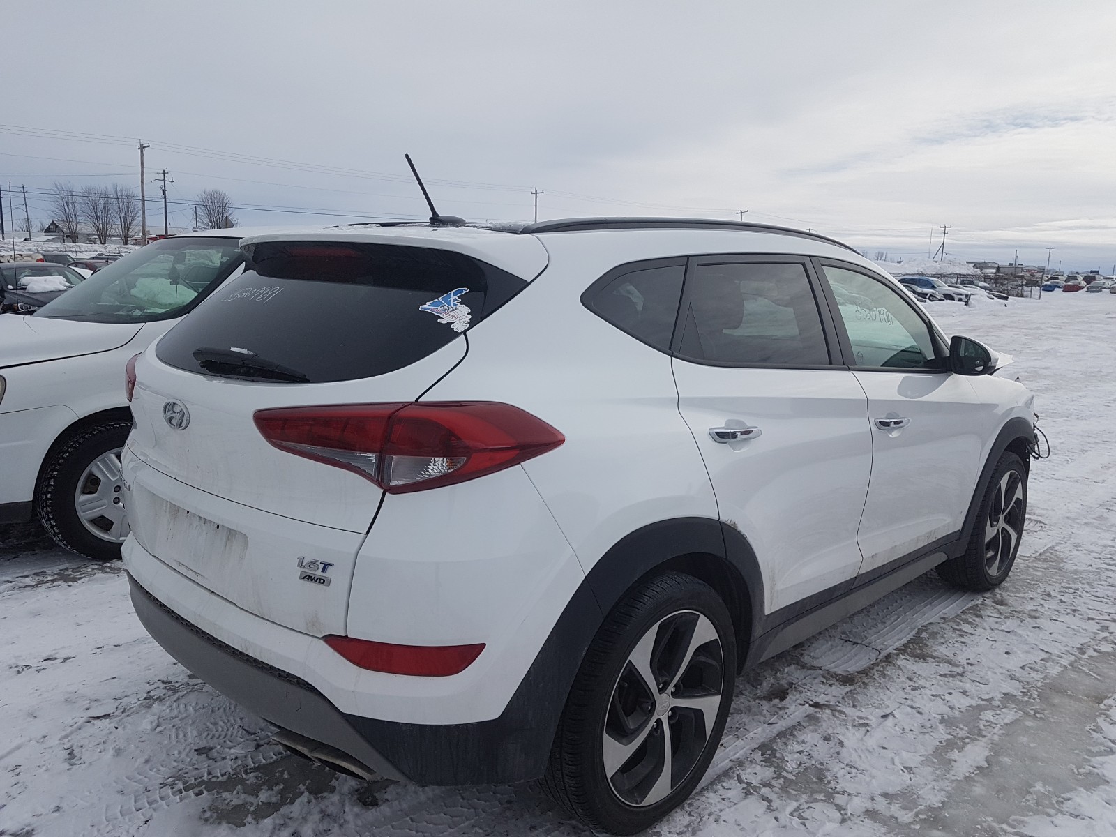 Photo 3 VIN: KM8J3CA23HU524482 - HYUNDAI TUCSON LIM 