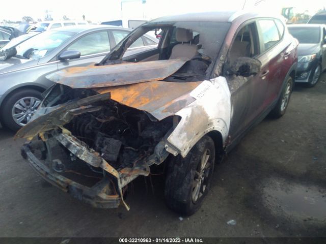 Photo 5 VIN: KM8J3CA43GU022717 - HYUNDAI TUCSON 