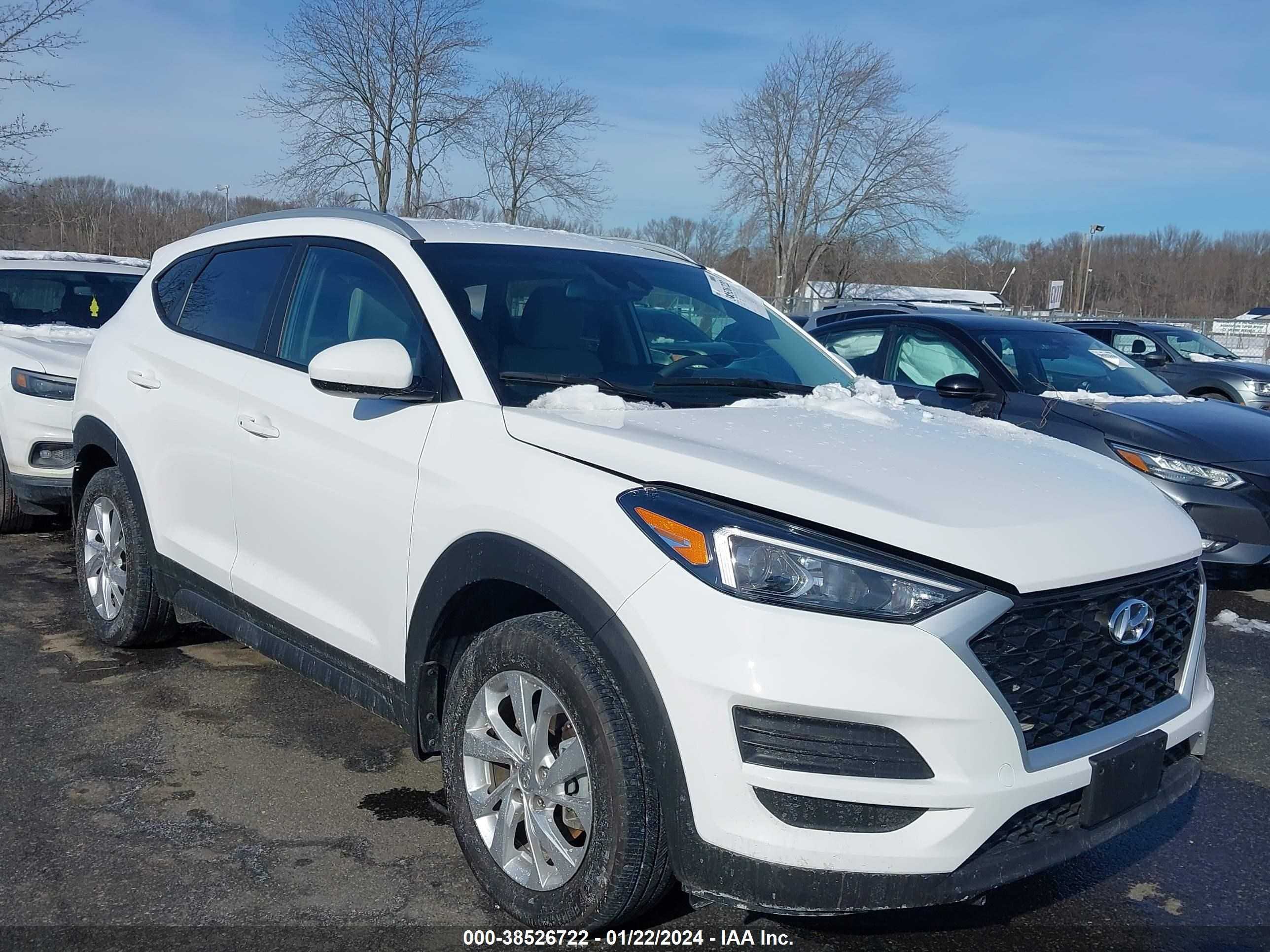 Photo 0 VIN: KM8J3CA43LU272095 - HYUNDAI TUCSON 