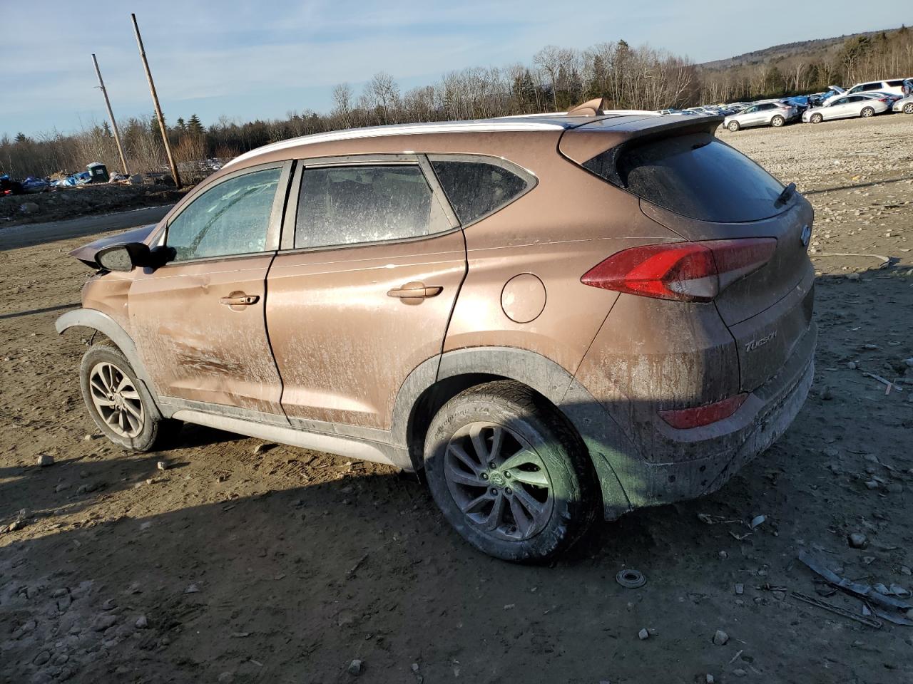 Photo 1 VIN: KM8J3CA48HU438554 - HYUNDAI TUCSON 