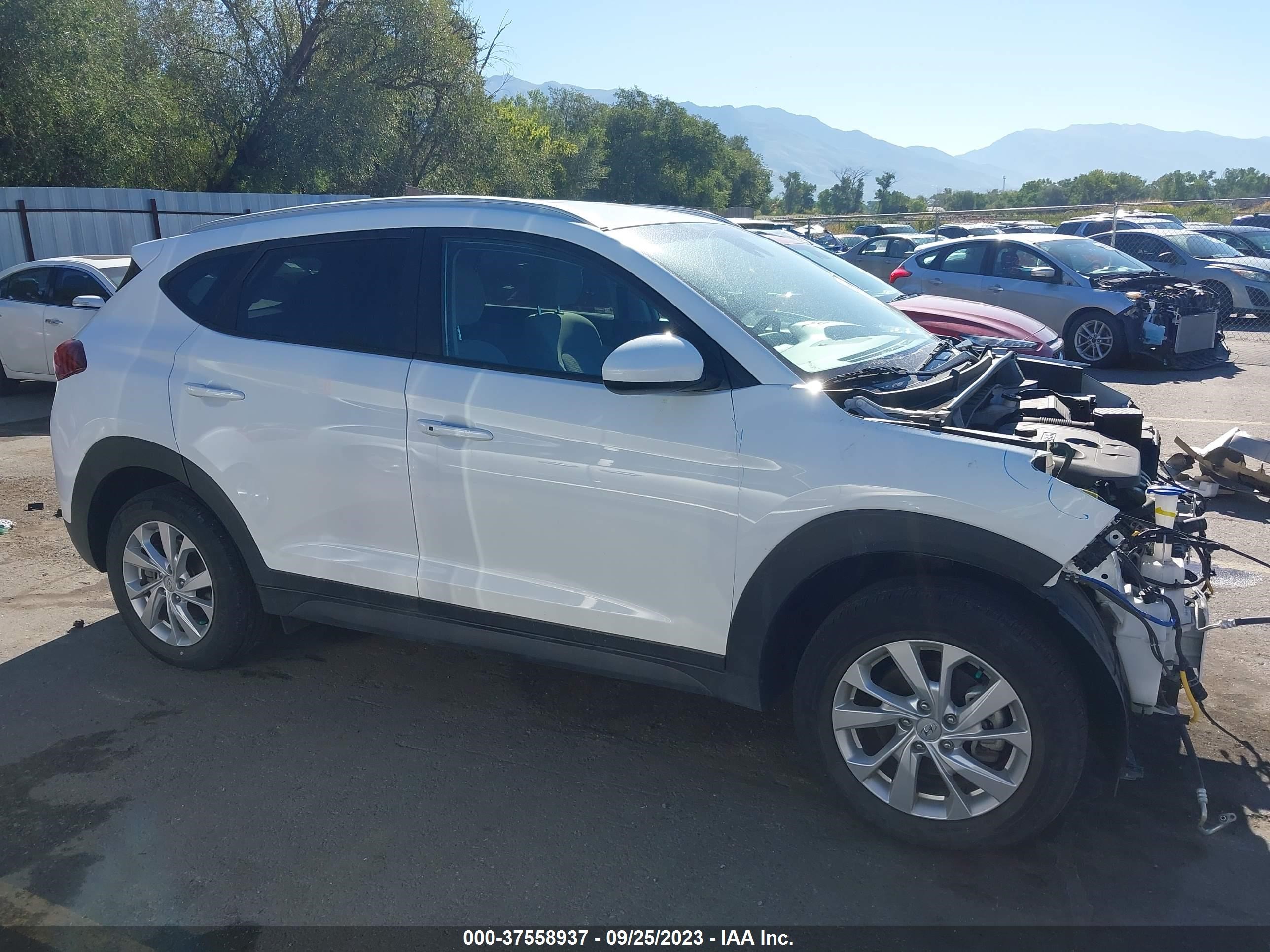 Photo 13 VIN: KM8J3CA49KU847119 - HYUNDAI TUCSON 