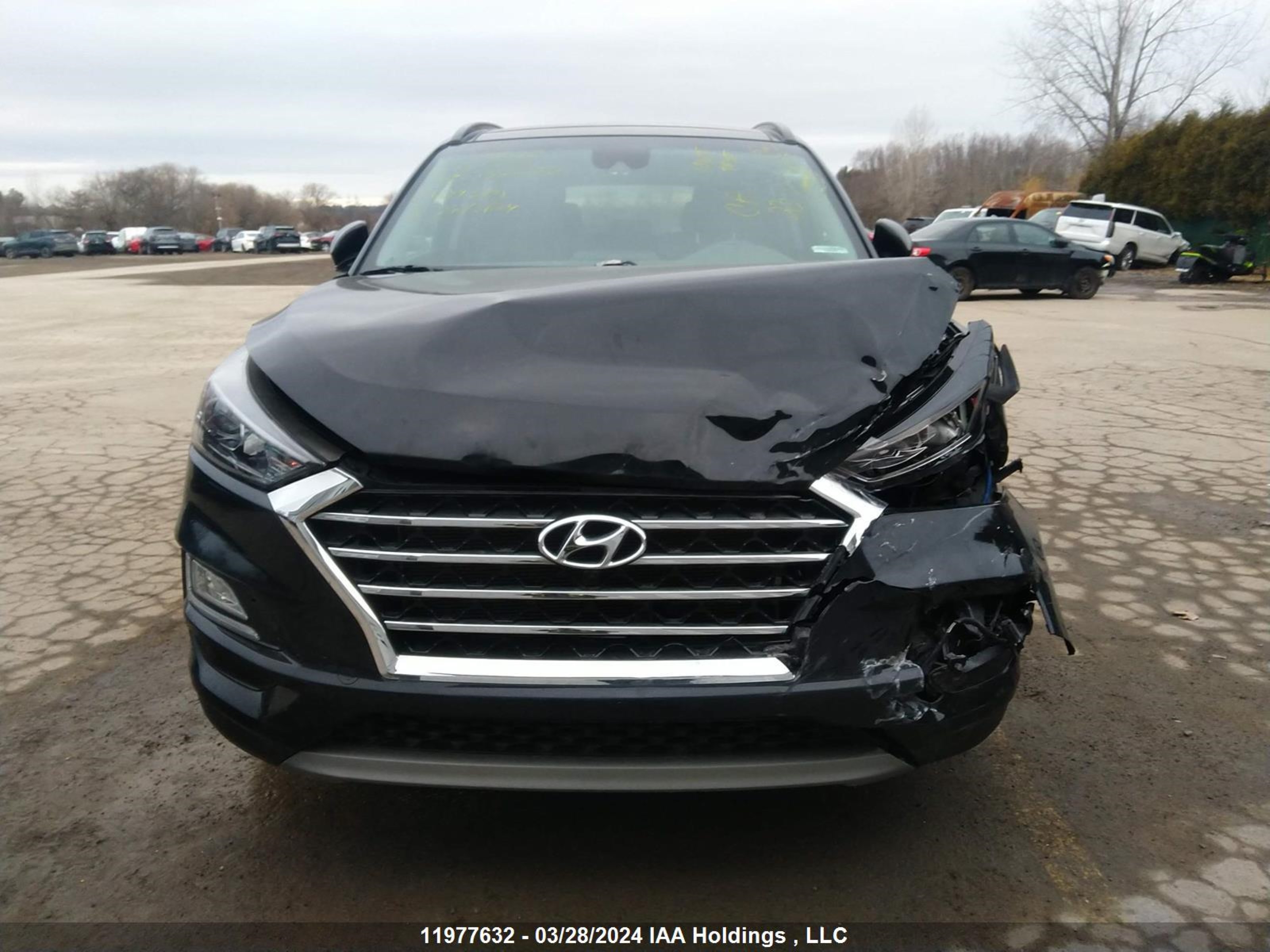 Photo 11 VIN: KM8J3CAL2KU034888 - HYUNDAI TUCSON 