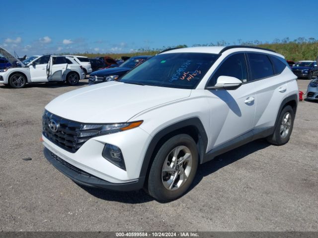 Photo 1 VIN: KM8JB3AE2NU076129 - HYUNDAI TUCSON 