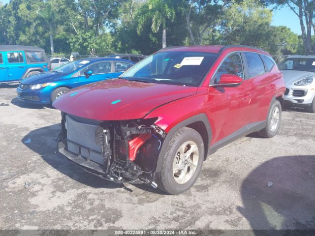 Photo 1 VIN: KM8JB3DE1RU329961 - HYUNDAI TUCSON 