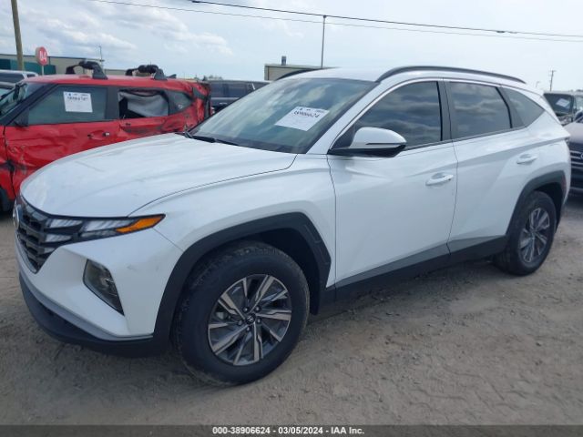 Photo 1 VIN: KM8JBCA10NU039822 - HYUNDAI TUCSON HYBRID 