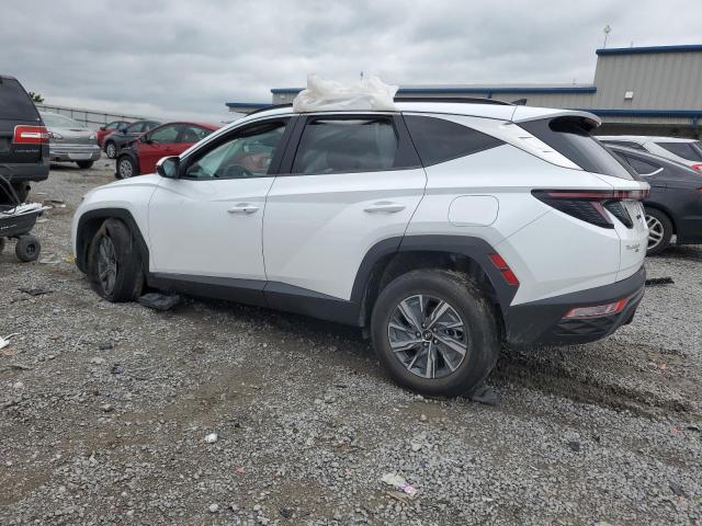 Photo 1 VIN: KM8JBCA12NU019488 - HYUNDAI TUCSON 