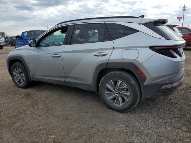 Photo 1 VIN: KM8JBCA13PU109929 - HYUNDAI TUCSON BLU 