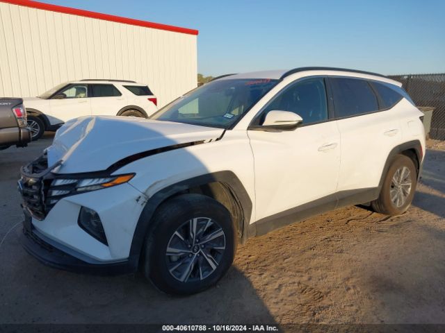 Photo 1 VIN: KM8JBCA14PU129560 - HYUNDAI TUCSON 