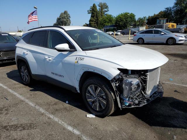 Photo 3 VIN: KM8JBCA15PU129664 - HYUNDAI TUCSON BLU 