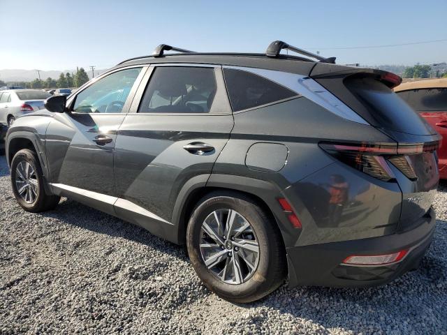 Photo 1 VIN: KM8JBCA16PU124263 - HYUNDAI TUCSON 