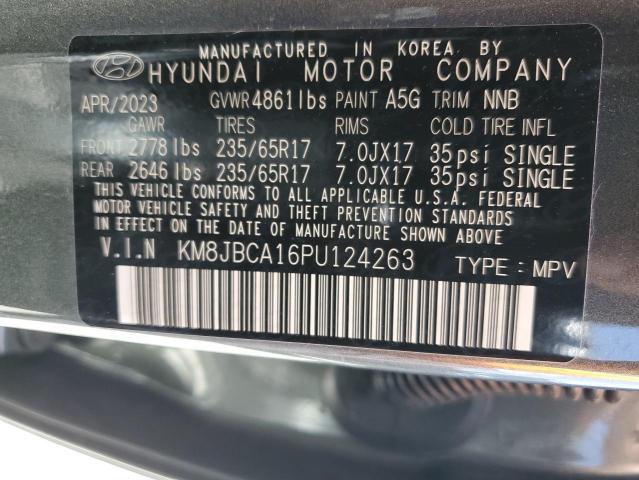 Photo 13 VIN: KM8JBCA16PU124263 - HYUNDAI TUCSON 