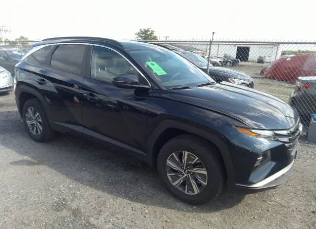 Photo 0 VIN: KM8JBCA19NU030567 - HYUNDAI TUCSON HYBRID 