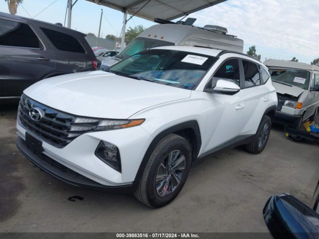 Photo 1 VIN: KM8JBCA1XPU118885 - HYUNDAI TUCSON 