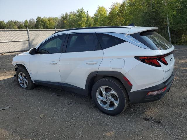 Photo 1 VIN: KM8JBCAE6NU059334 - HYUNDAI TUCSON SEL 