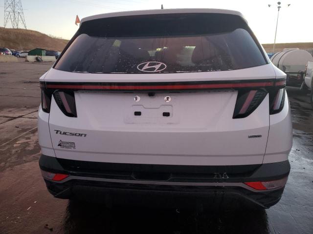 Photo 5 VIN: KM8JBCAE6PU244647 - HYUNDAI TUCSON 