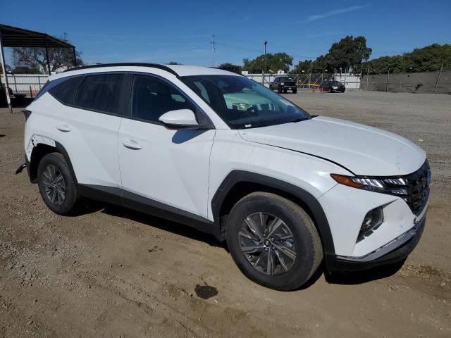 Photo 3 VIN: KM8JBCD10RU224017 - HYUNDAI TUCSON BLU 