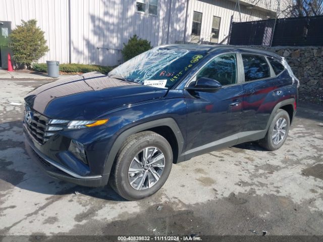 Photo 1 VIN: KM8JBCD11RU192193 - HYUNDAI TUCSON 