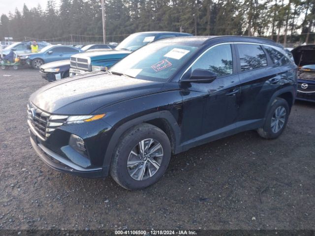 Photo 1 VIN: KM8JBCD16RU145905 - HYUNDAI TUCSON 