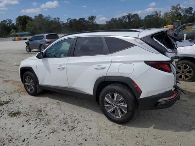 Photo 1 VIN: KM8JBCD1XRU219181 - HYUNDAI TUCSON BLU 