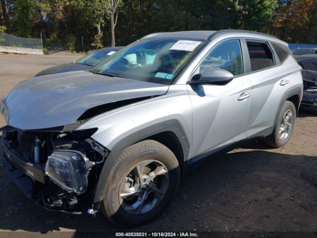 Photo 1 VIN: KM8JBCDE1RU313355 - HYUNDAI TUCSON 