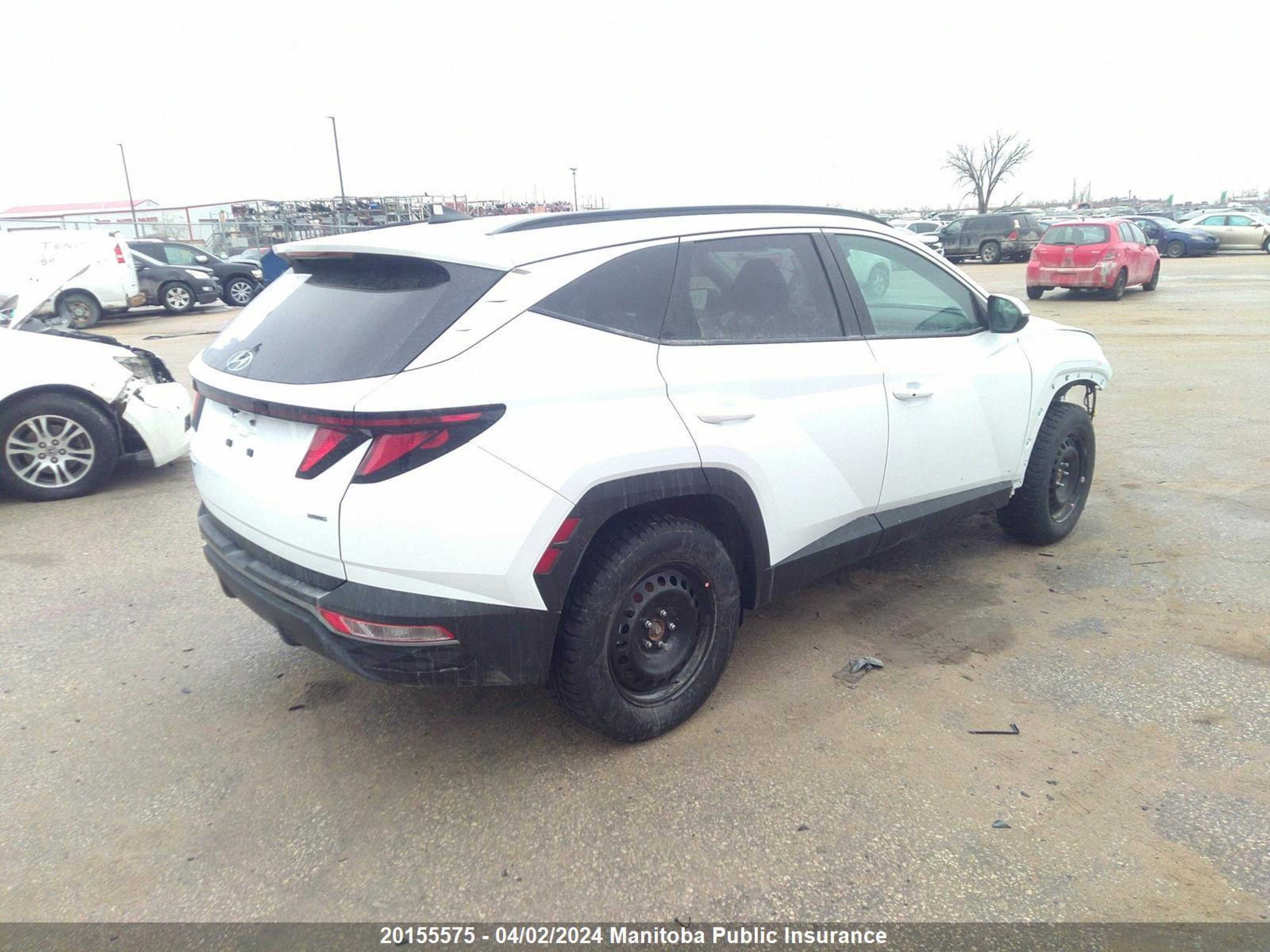 Photo 3 VIN: KM8JBCDE3RU289303 - HYUNDAI TUCSON 