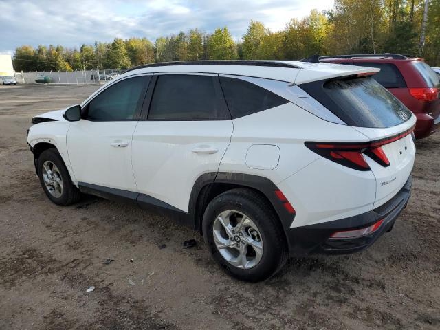 Photo 1 VIN: KM8JBCDEXRU289203 - HYUNDAI TUCSON SEL 