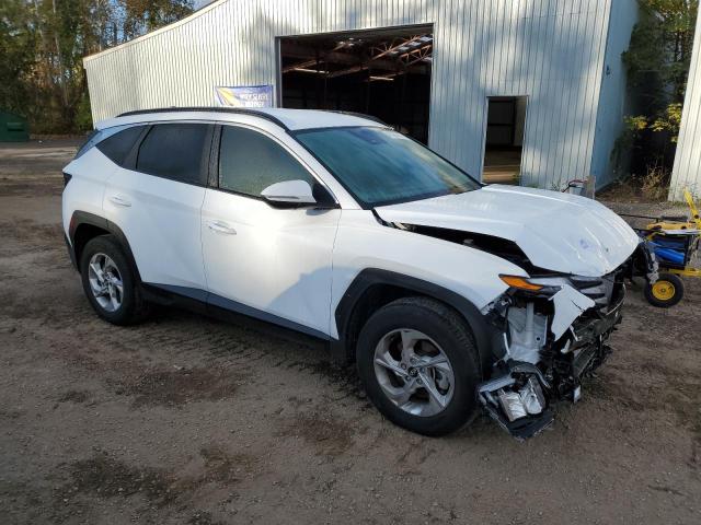 Photo 3 VIN: KM8JBCDEXRU289203 - HYUNDAI TUCSON SEL 